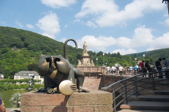 kat op brug bij Heidelberg